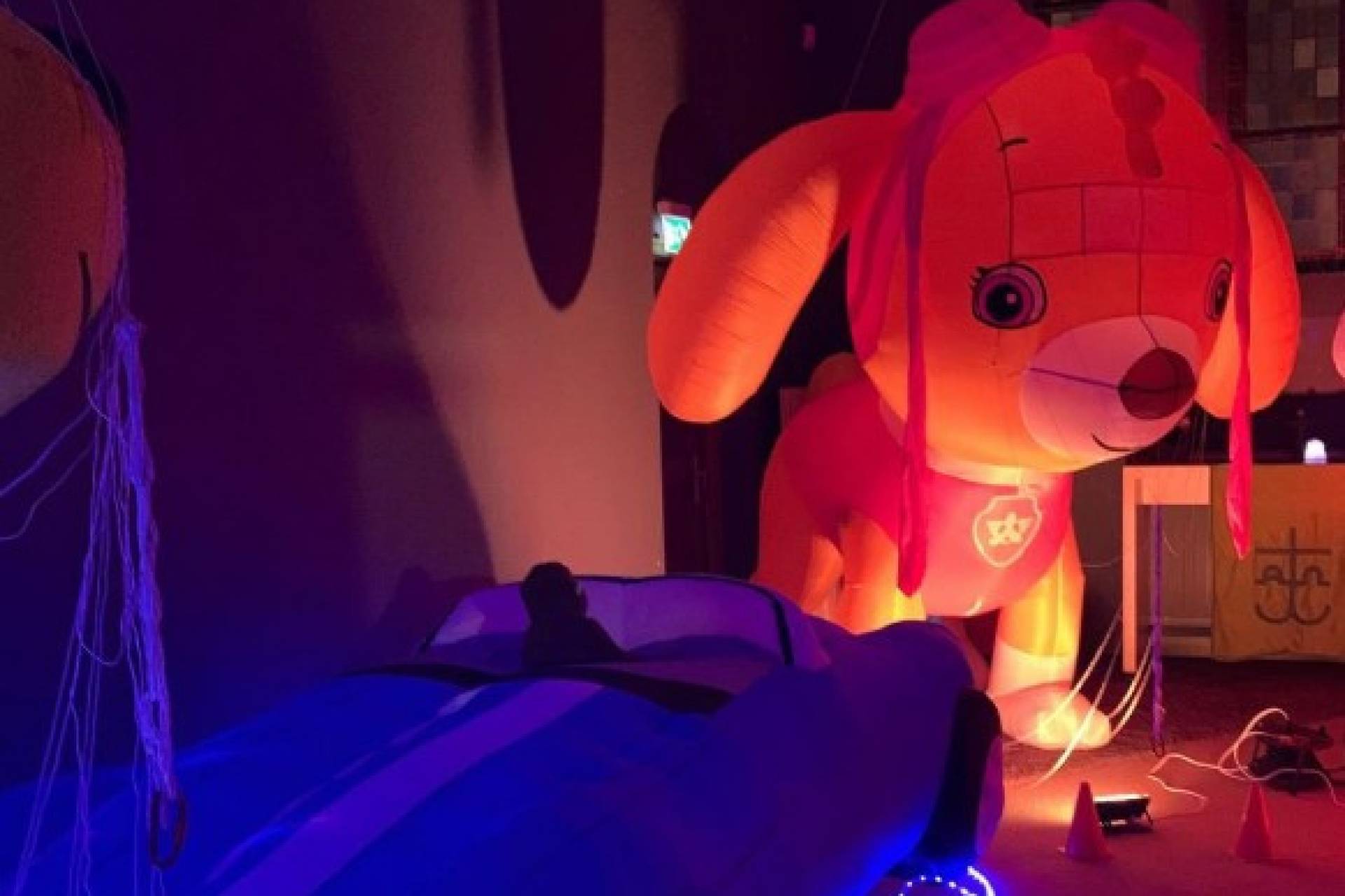 20251025-lichtjestocht